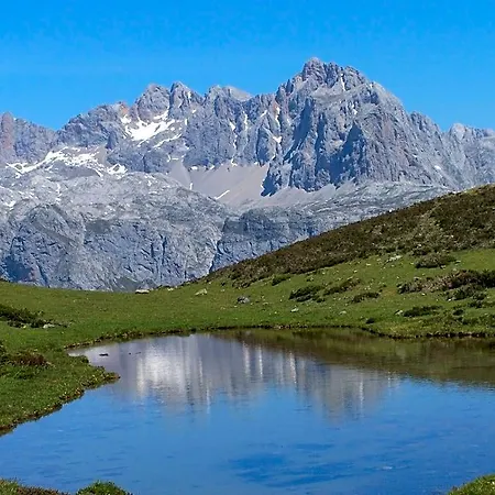 Nevandi *