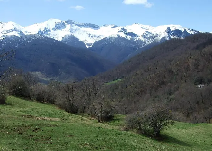 Nevandi Guest house *